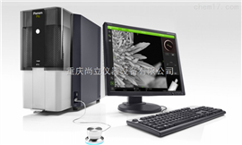 Phenom Pro高分辨率專業版電子(zǐ)顯微鏡
